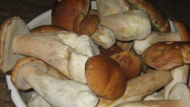 Pilze für den Winter vorbereiten: ohne Essig, unter Metalldeckeln und ohne, Rezepte für Marinade für Steinpilze ohne Essig